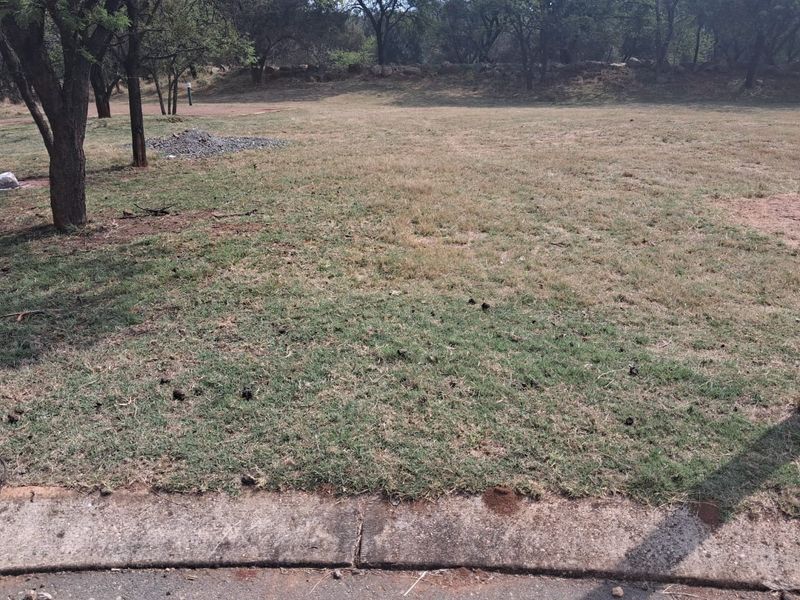 A view of a vacant residential plot featuring established trees and a concrete curb bordering the street.