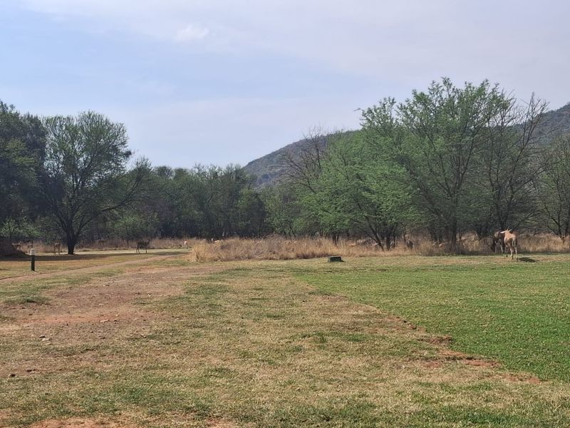 A scenic view of the natural landscape featuring mature trees, open grassland, and distant hills, characteristic of the vacant residential land.
