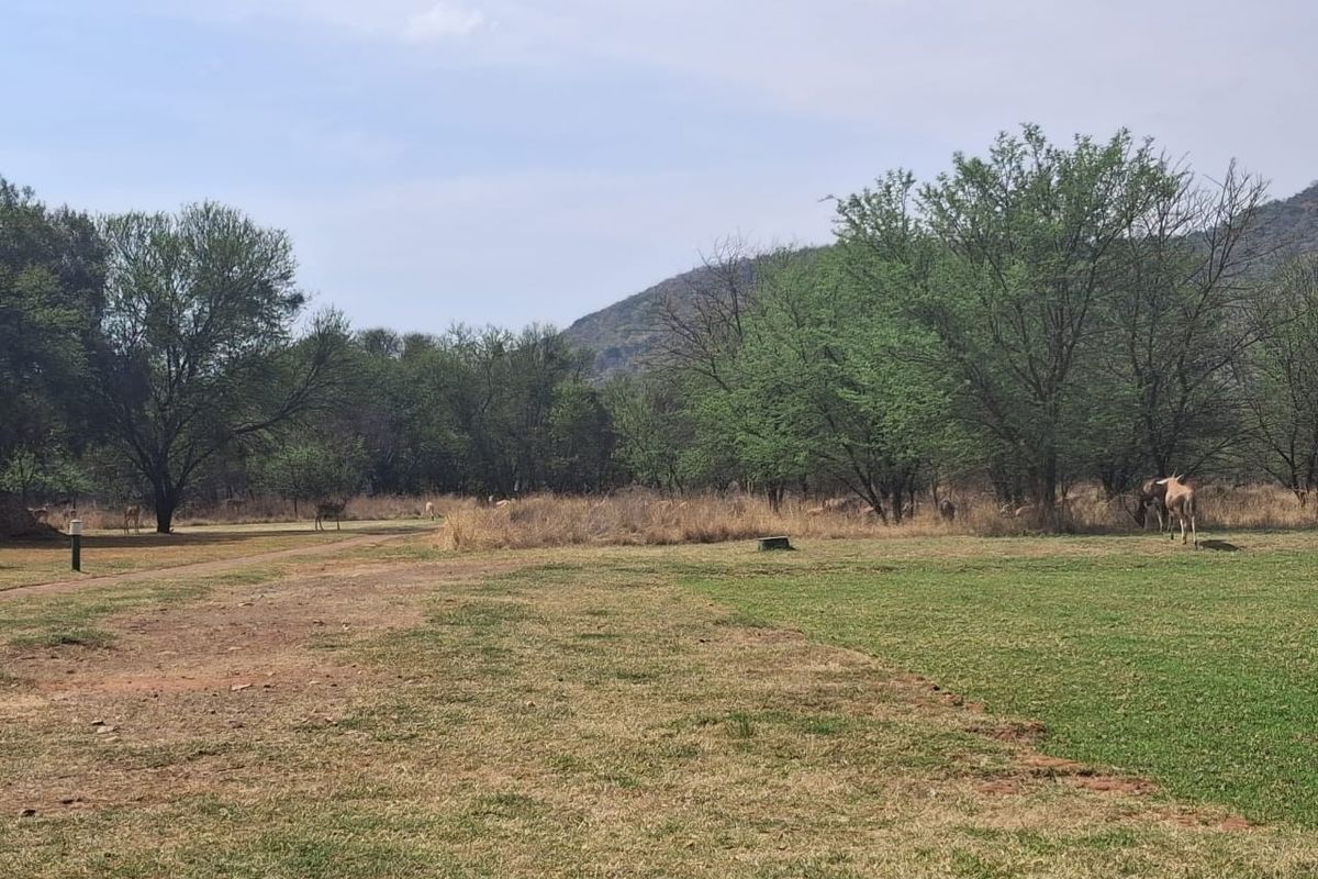 A scenic view of the natural landscape featuring mature trees, open grassland, and distant hills, characteristic of the vacant residential land.