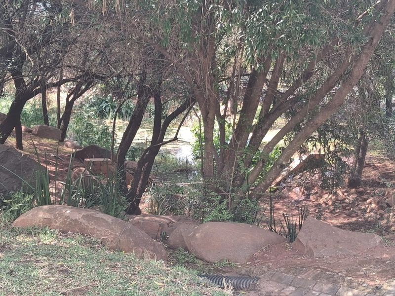 A natural garden setting featuring mature trees, large rock formations, and a small water feature area.