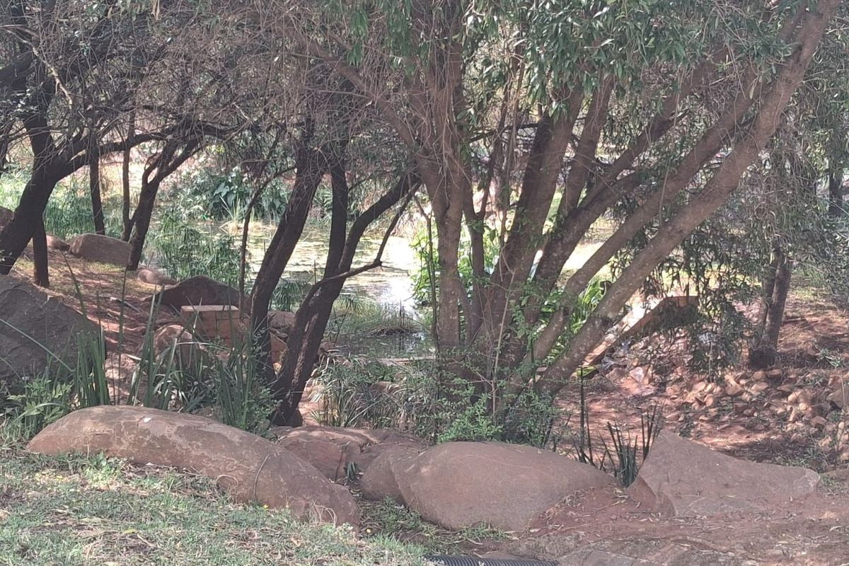 A natural garden setting featuring mature trees, large rock formations, and a small water feature area.