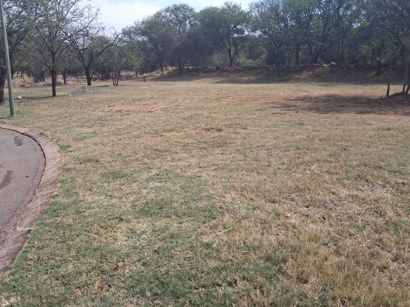 A view of a vacant residential plot featuring established trees and a paved curb edge.