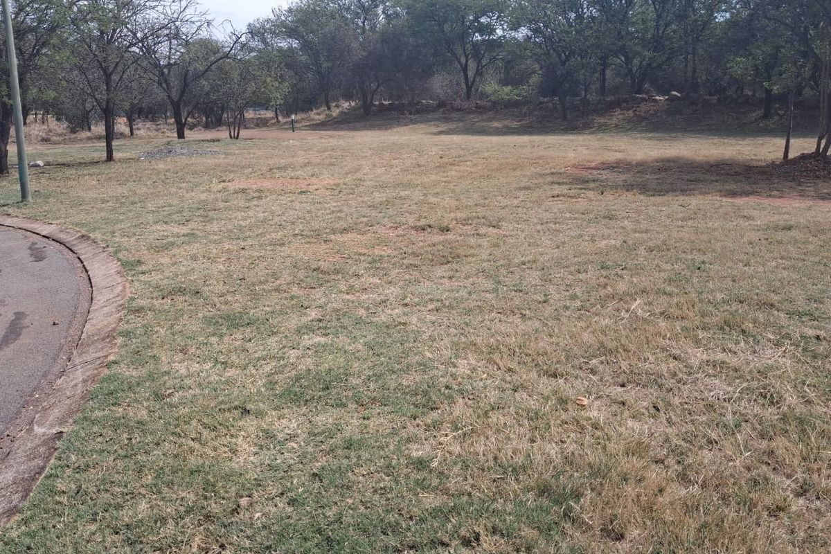 A view of a vacant residential plot featuring established trees and a paved curb edge.