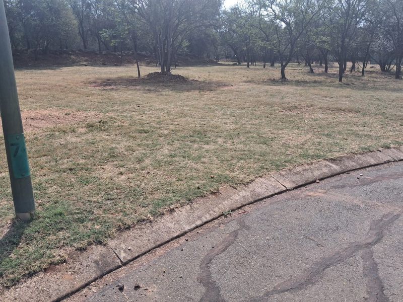 A view of the street frontage and curb adjacent to the vacant residential land, featuring established trees and existing road infrastructure.
