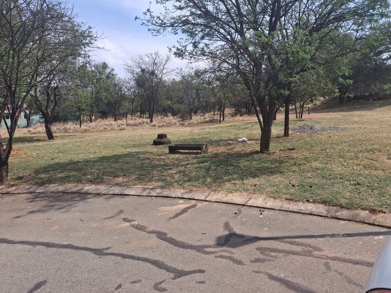 A view of a vacant residential plot featuring mature trees, grass, and direct access to an asphalt road with a concrete curb.