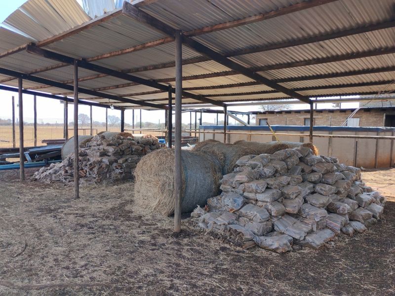 A functional farm utility shed featuring a corrugated iron roof supported by timber posts, suitable for storage or agricultural operations.