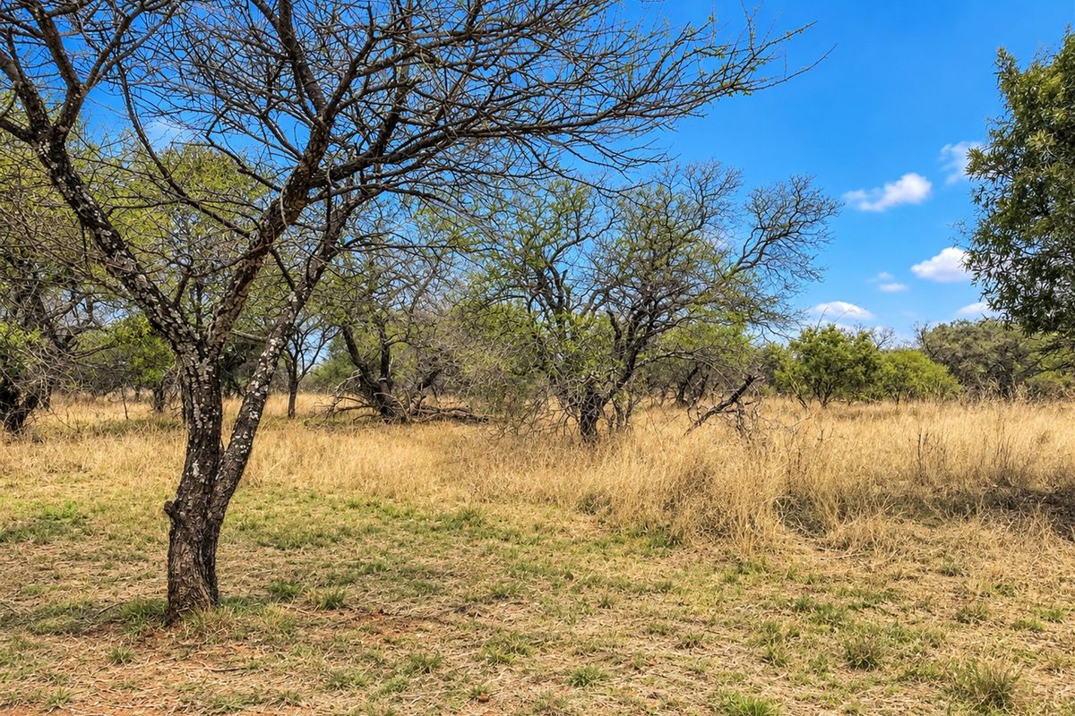 A view of the vacant residential land featuring natural vegetation and mature trees under a clear blue sky.
