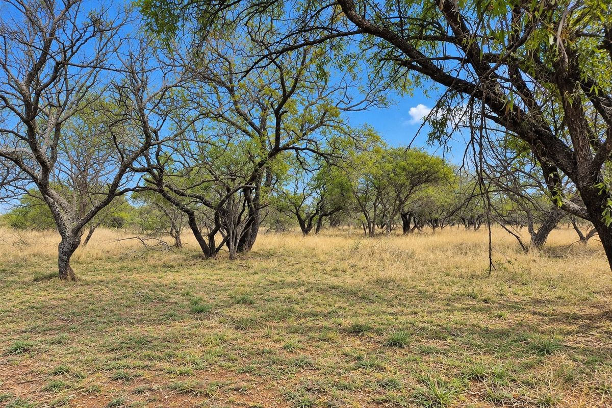 A view of the vacant residential land featuring mature trees and natural grass coverage.