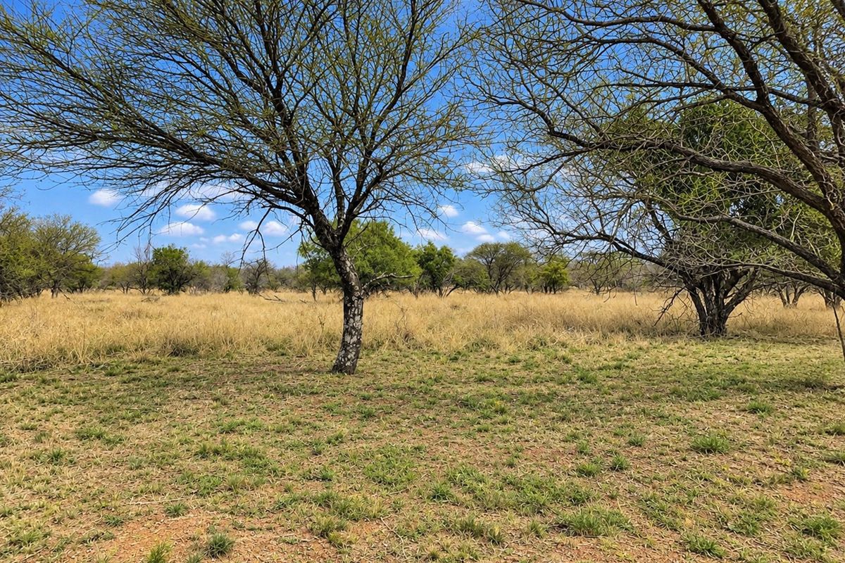 A view of a vacant residential plot featuring natural grassland and mature native trees under a clear blue sky.