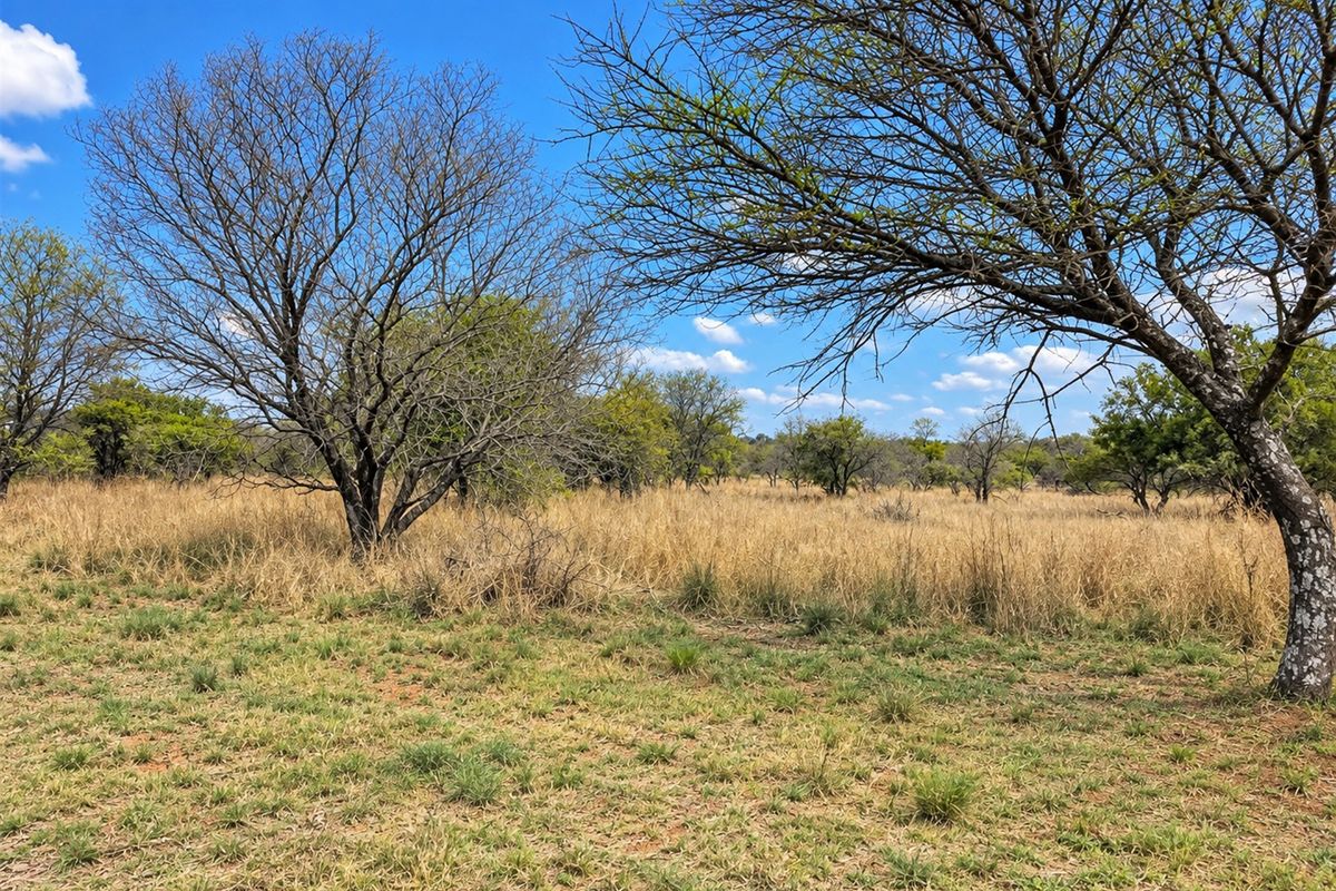 A view of the vacant residential land featuring natural grassland and mature indigenous trees under a clear blue sky.