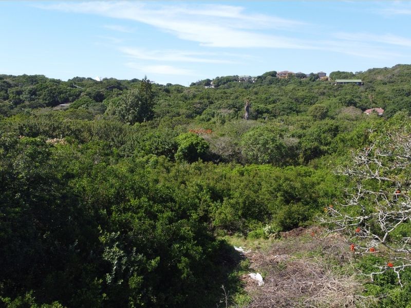 A scenic elevated view overlooking a dense, naturally vegetated landscape with distant residential properties visible on the horizon.