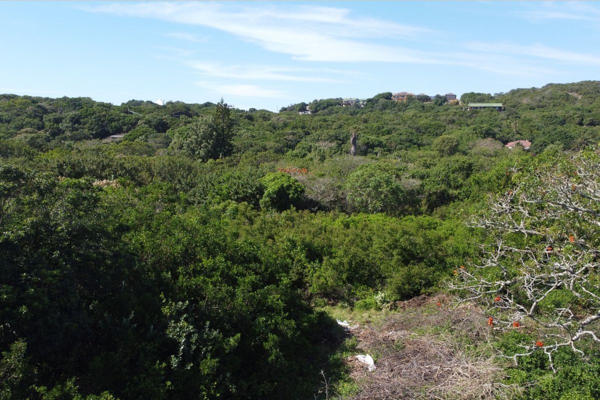 A scenic elevated view overlooking a dense, naturally vegetated landscape with distant residential properties visible on the horizon.
