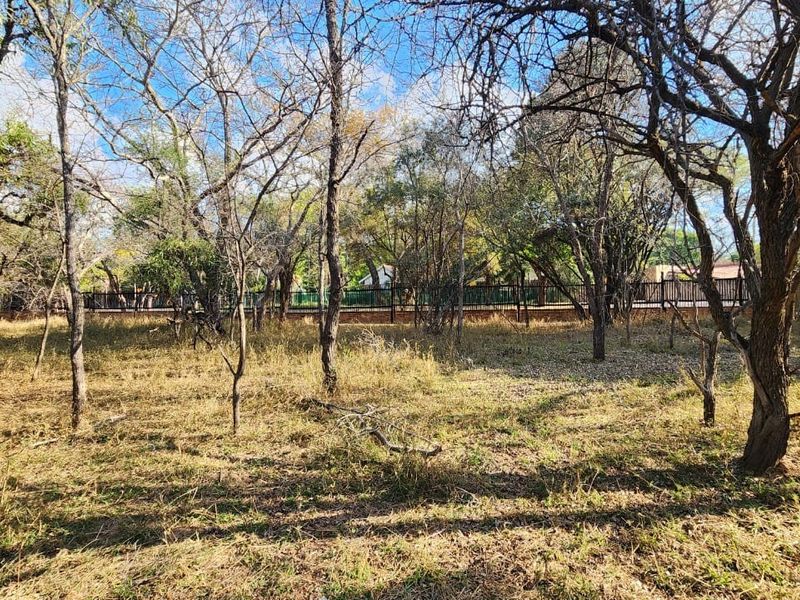 A view of a vacant residential plot featuring mature trees and established perimeter fencing.