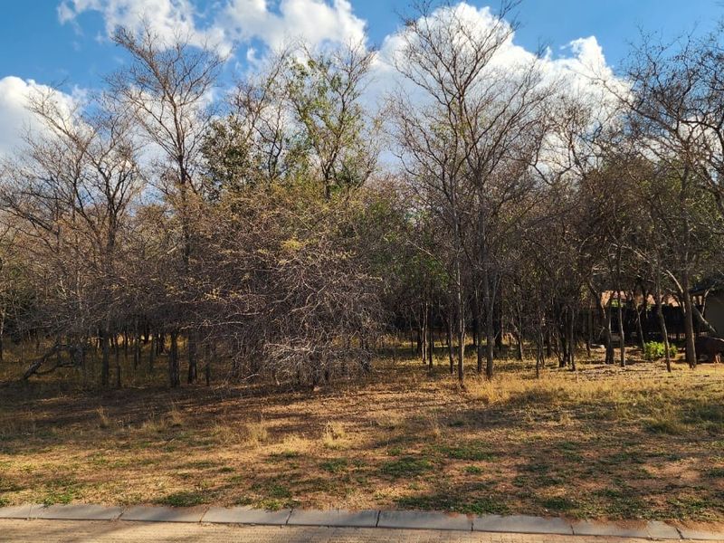 A view of a vacant residential plot featuring mature trees and natural vegetation, bordered by a paved curb.
