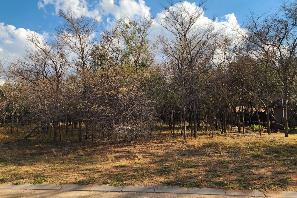 A view of a vacant residential plot featuring mature trees and natural vegetation, bordered by a paved curb.