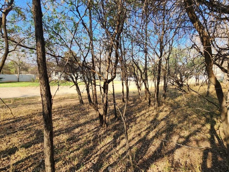 A view of a vacant residential plot featuring mature trees and natural ground cover, offering a private setting for future development.