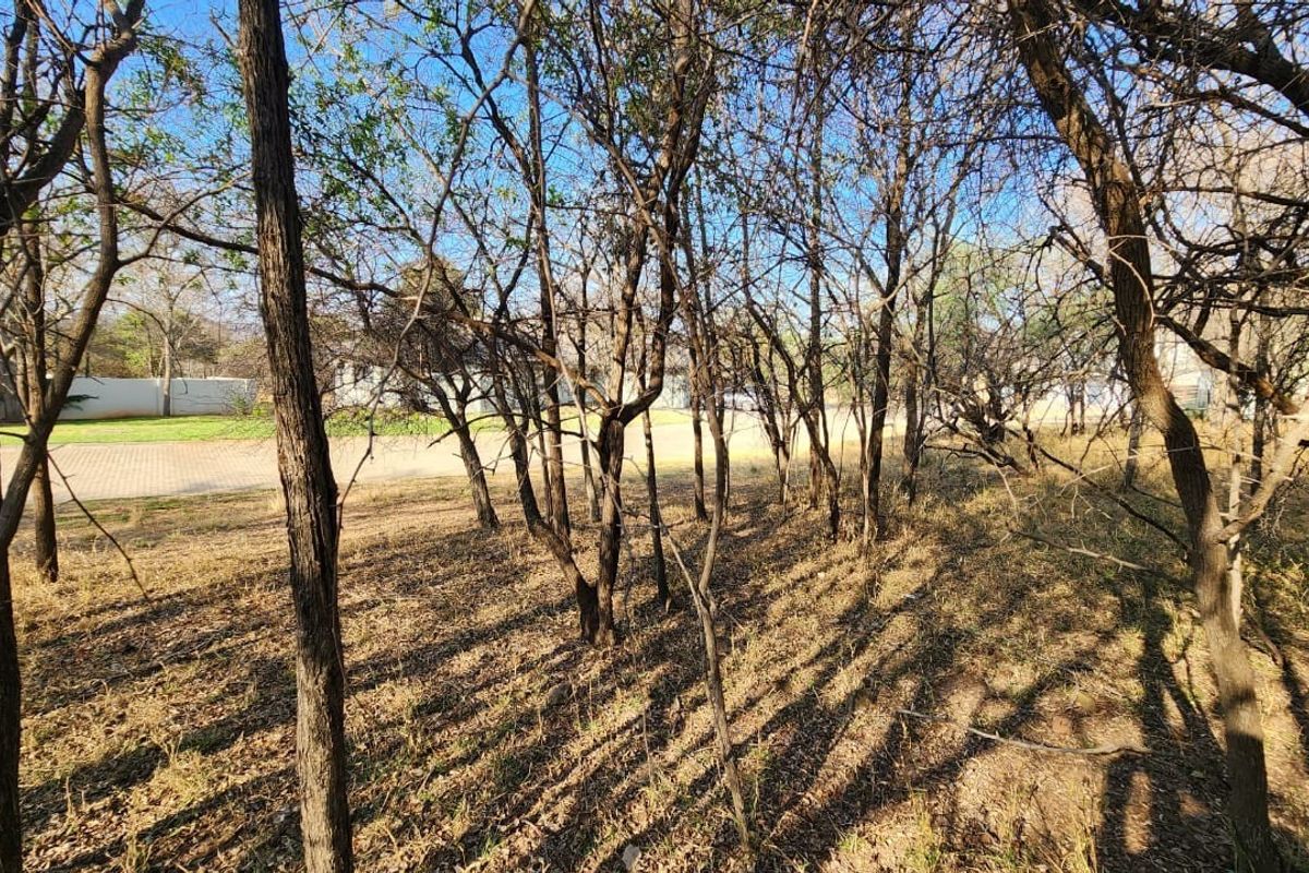 A view of a vacant residential plot featuring mature trees and natural ground cover, offering a private setting for future development.