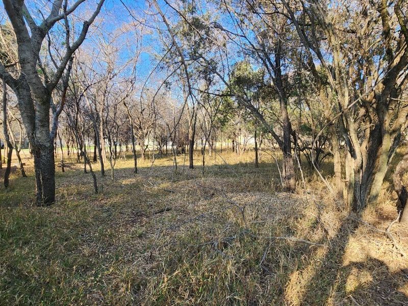 A view of a vacant residential plot featuring mature trees and a wooden boundary fence, offering a natural setting for potential development.