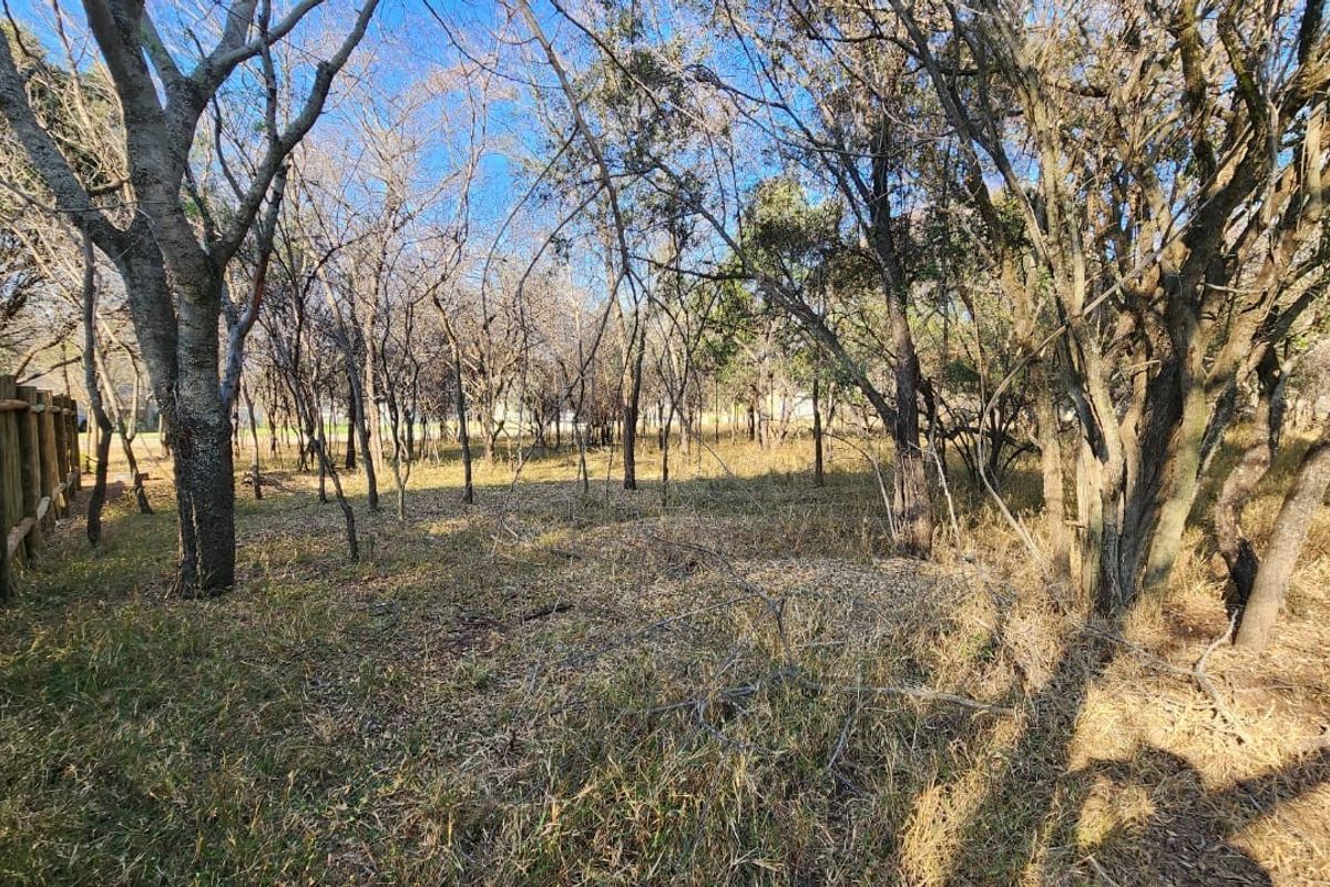 A view of a vacant residential plot featuring mature trees and a wooden boundary fence, offering a natural setting for potential development.