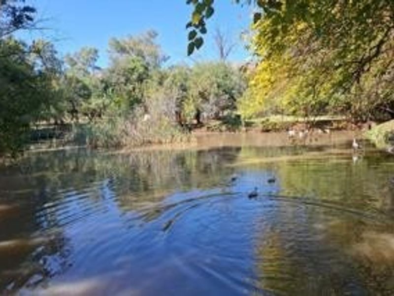 A serene natural pond surrounded by mature trees and lush vegetation, providing a tranquil outdoor setting on the small holding.