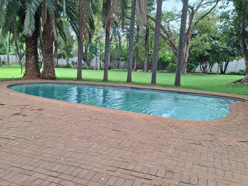 A private swimming pool set within a lush garden featuring mature palm trees and extensive brick-paved surround on a small holding property.