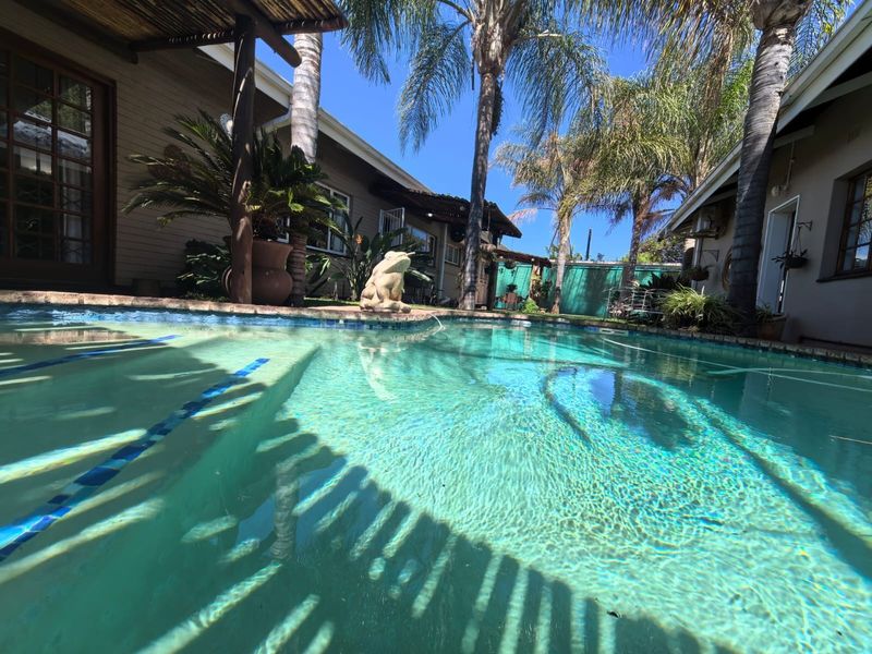 A well-maintained swimming pool area featuring a timber pergola, established palm trees, and direct access to the surrounding house exterior.