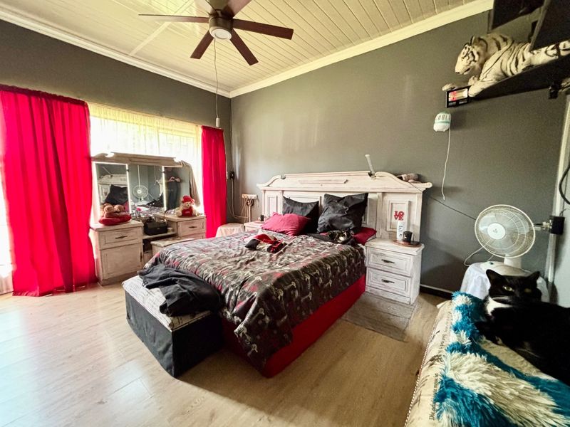 A spacious bedroom featuring laminate flooring, a timber panelled ceiling, and a central ceiling fan, offering a comfortable and functional living space.