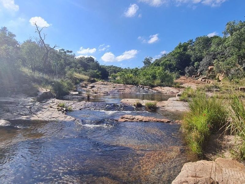 A scenic view of a natural stream flowing over rock formations, surrounded by lush indigenous vegetation and a clear blue sky.