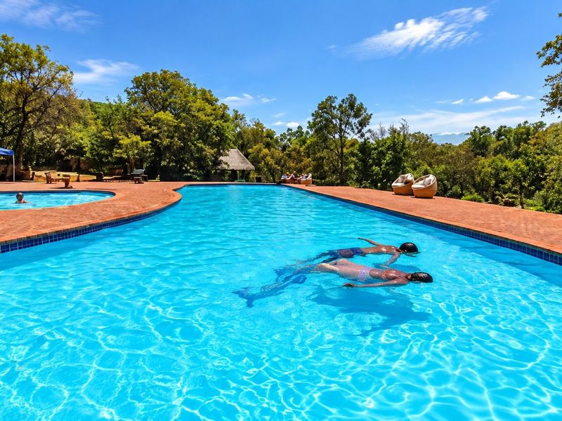 A large, well-maintained outdoor swimming pool featuring a curved brick deck and surrounding landscaped garden area.