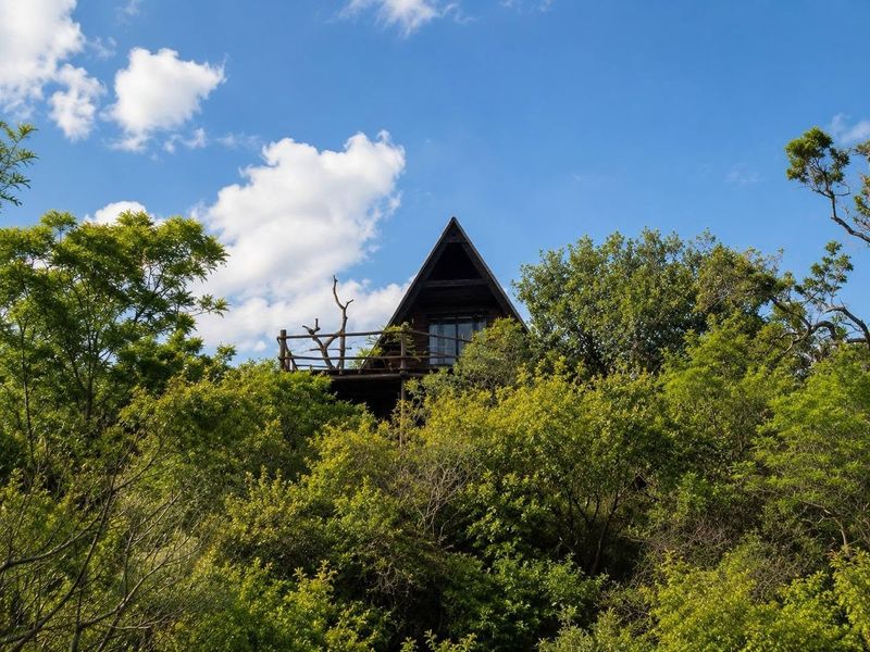 A scenic view of an A-frame timber house nestled among lush trees, featuring a wooden balcony and large glass doors.