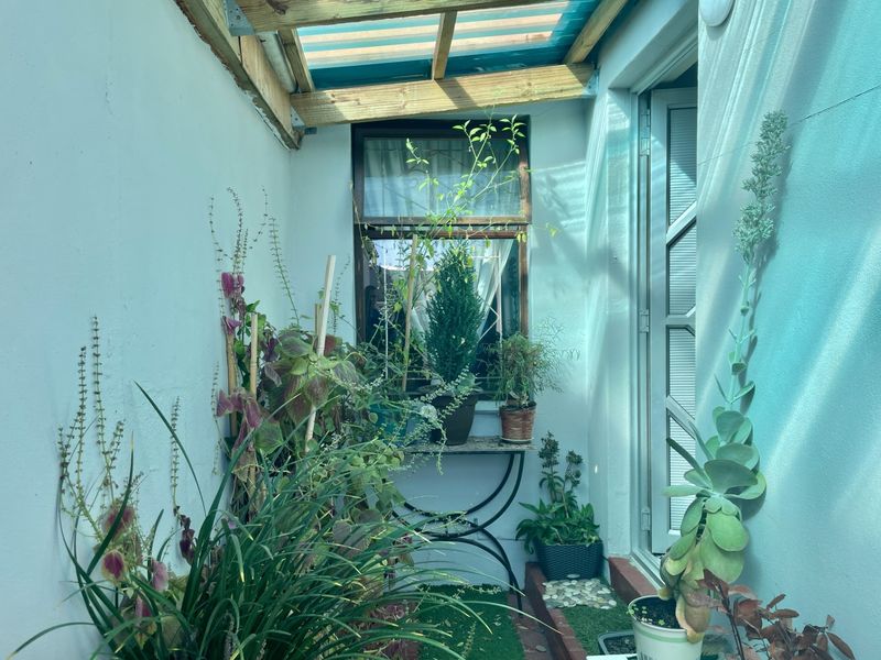 A small, covered outdoor patio area featuring a translucent roof, timber framing, and access to the main dwelling via an external door.
