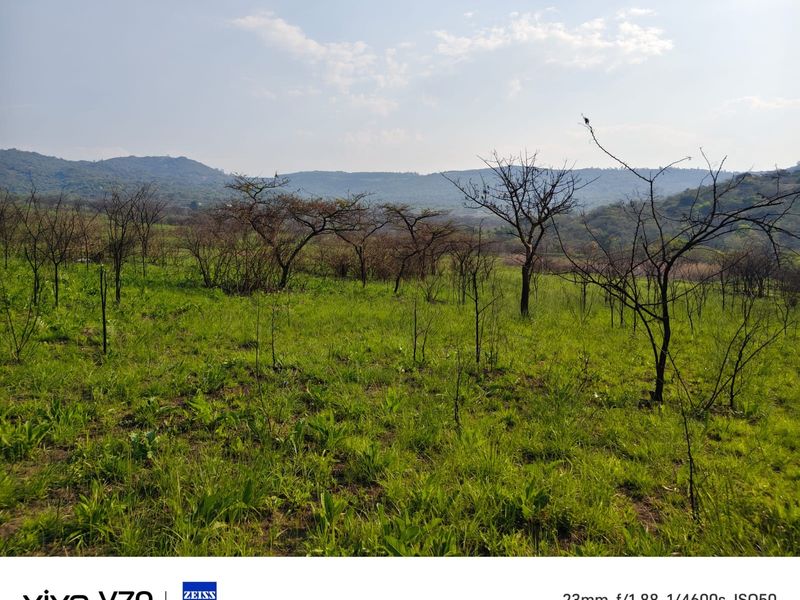 A scenic view of the natural landscape and mountain range on the small holding property.