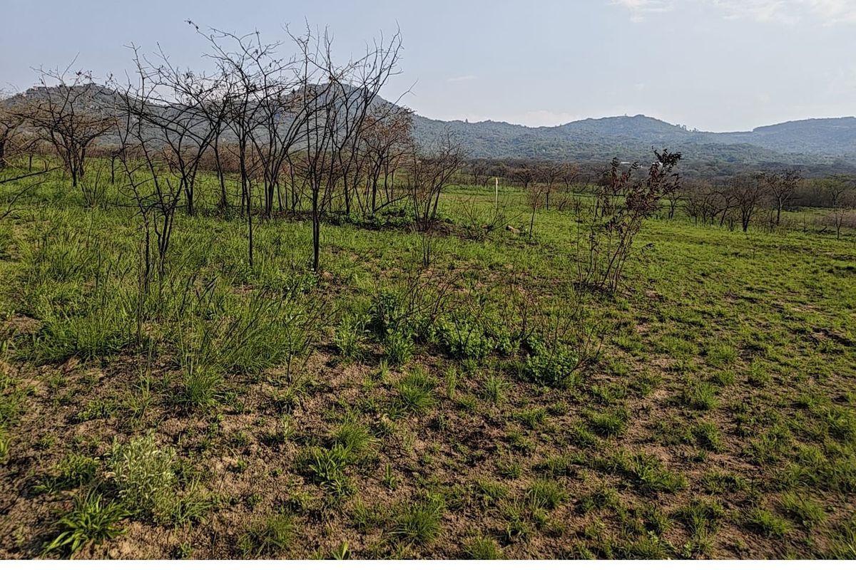 A scenic view of the open landscape and rolling hills on the small holding property.