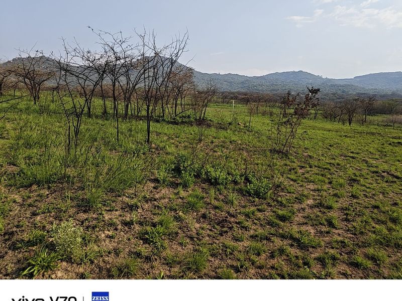 A scenic view of the open landscape and rolling hills on the small holding property.