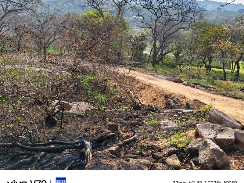 A view of the small holding grounds featuring a dirt access road, rocky terrain, and natural vegetation showing signs of recent fire damage.