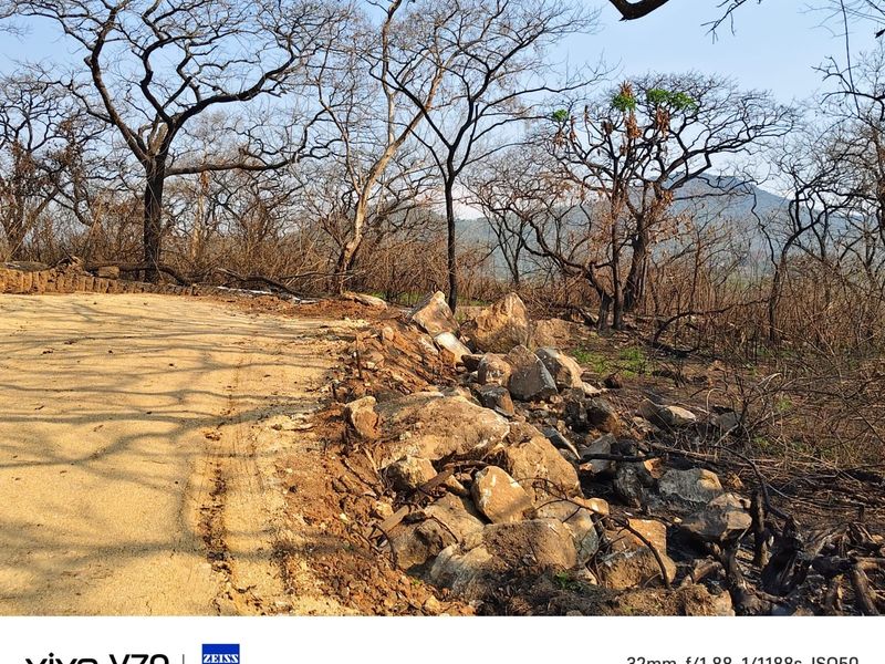 An unpaved access road bordered by a rock retaining wall, set against a backdrop of fire-damaged trees and natural landscape.