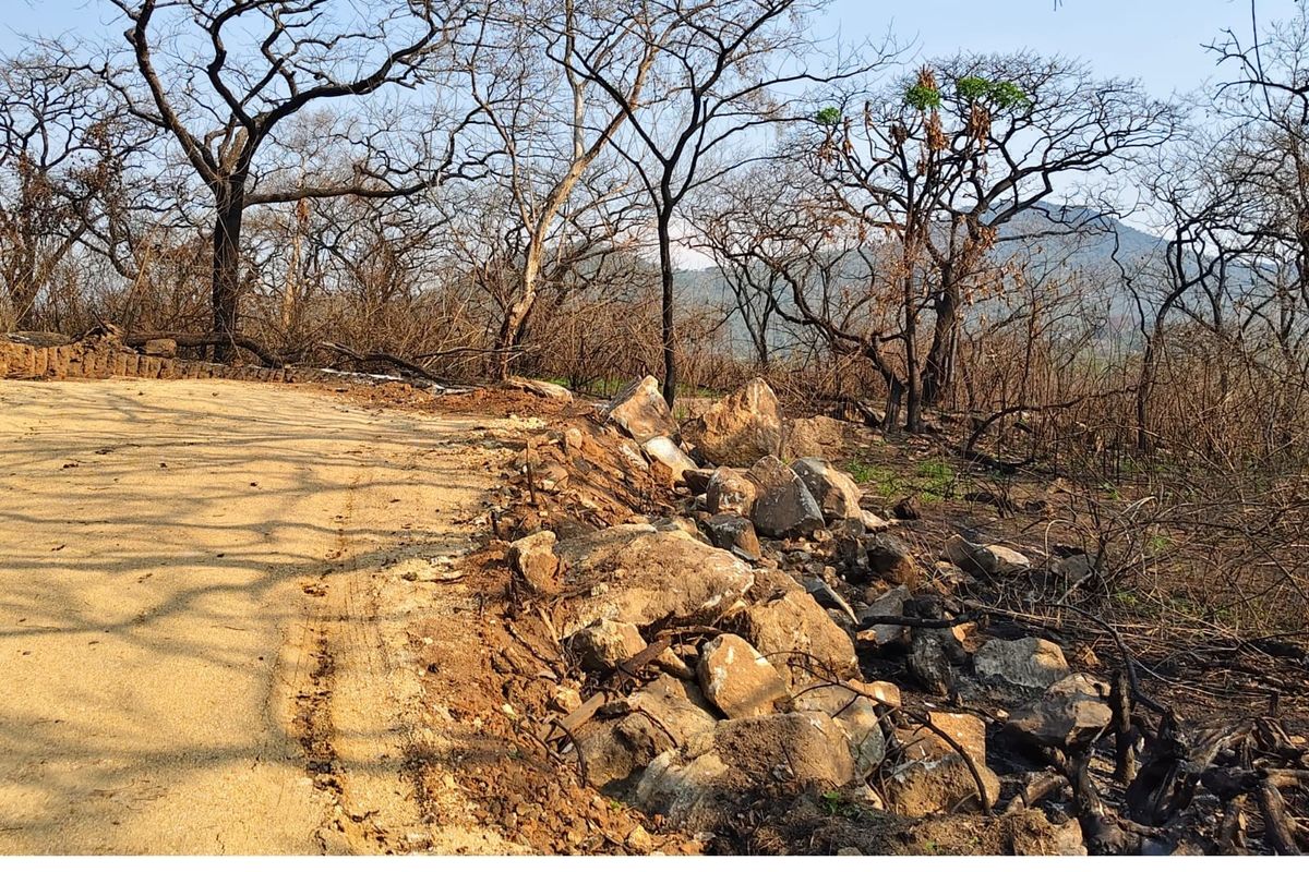 An unpaved access road bordered by a rock retaining wall, set against a backdrop of fire-damaged trees and natural landscape.