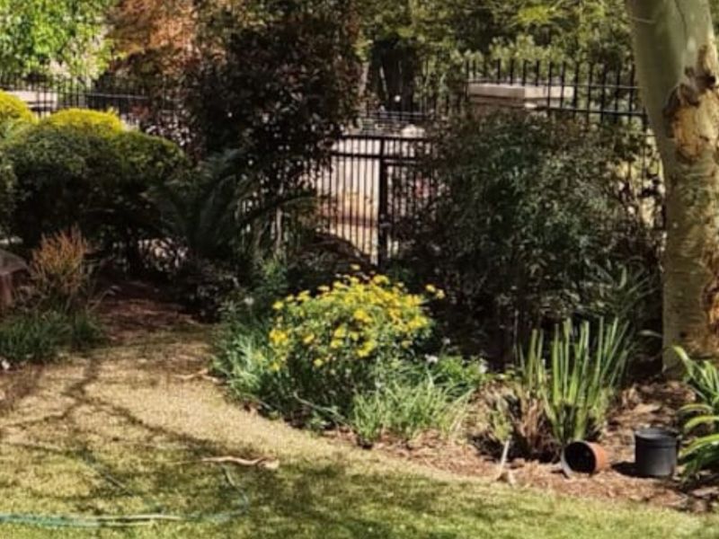 A well-established garden area featuring mature trees, landscaped garden beds, and secure wrought iron perimeter fencing.