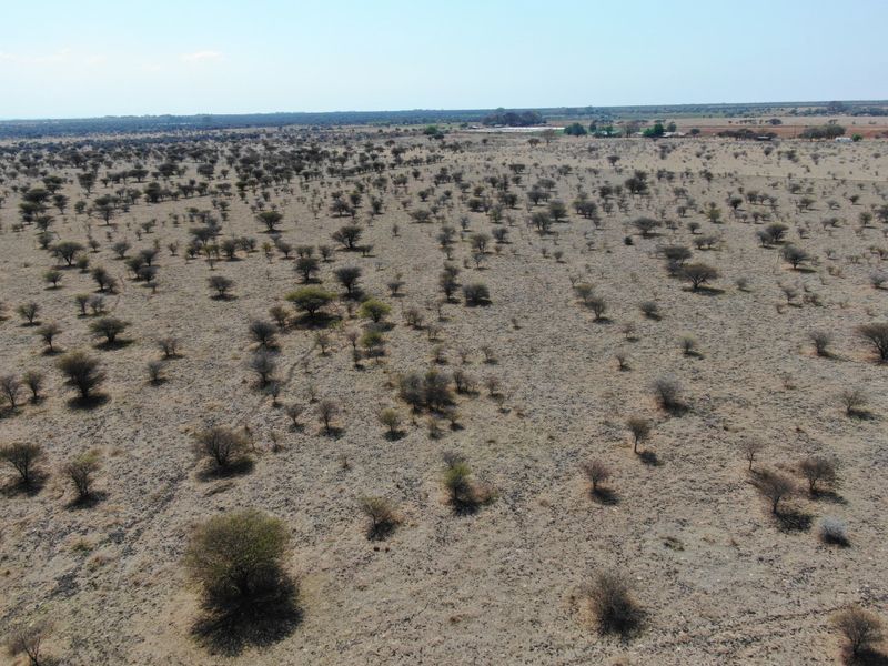 An aerial view of a vast, open residential land plot featuring native trees and natural terrain.