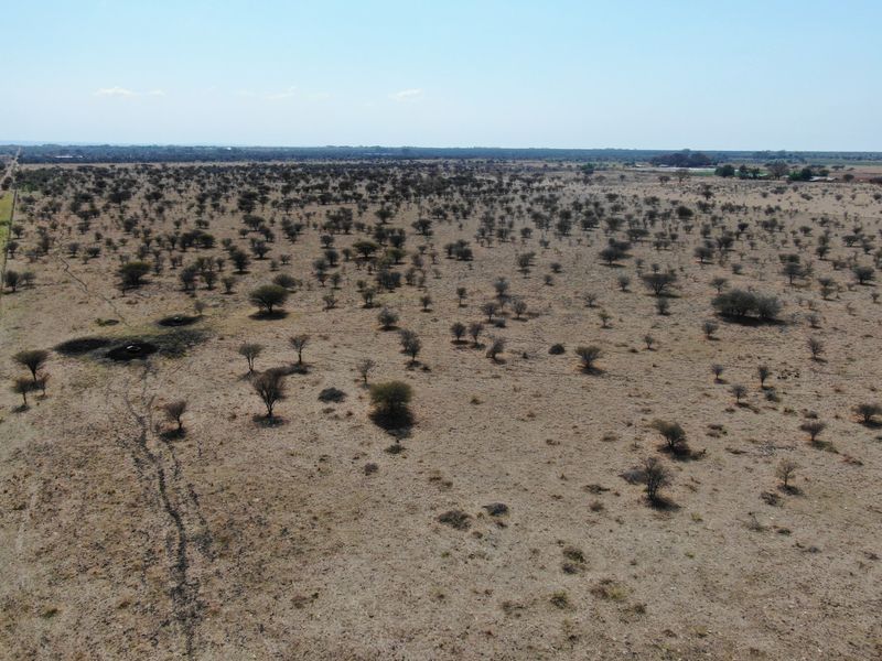 An aerial view of a large, undeveloped residential plot featuring native trees and open terrain.
