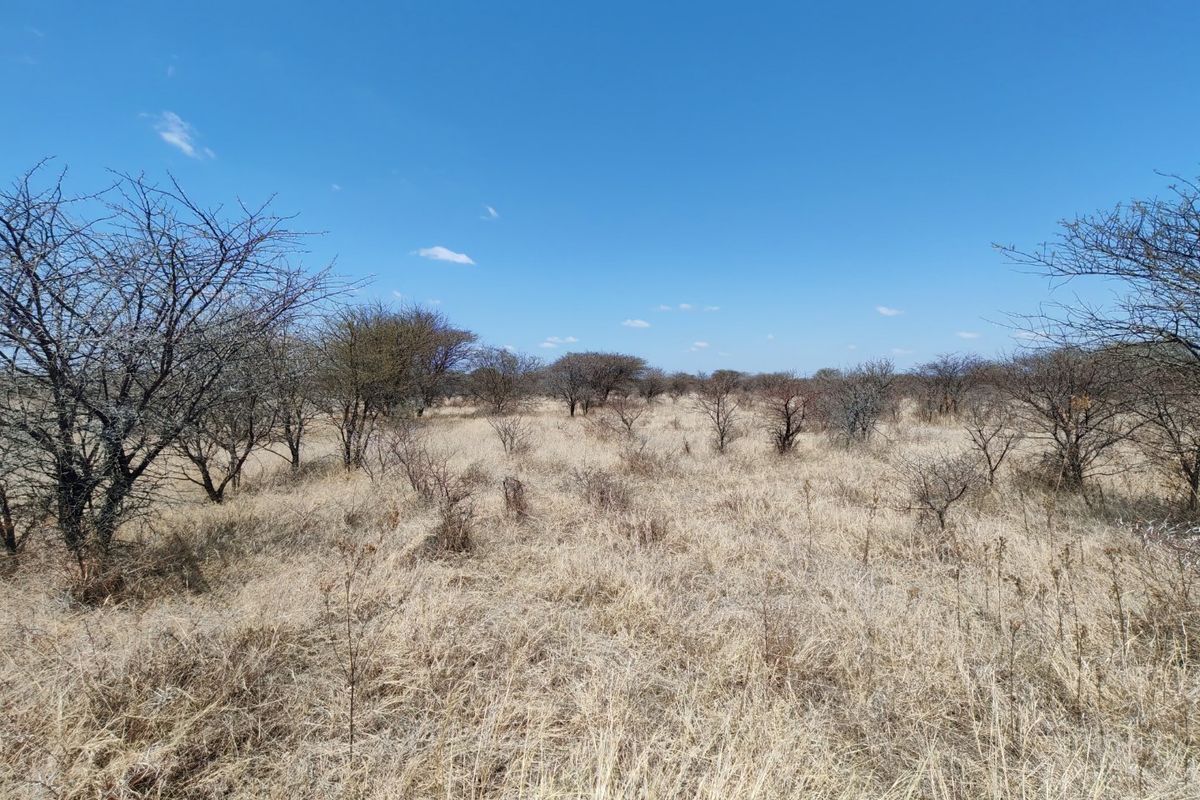 A view of the vacant residential land featuring natural dry grass and scattered native trees under a clear blue sky.