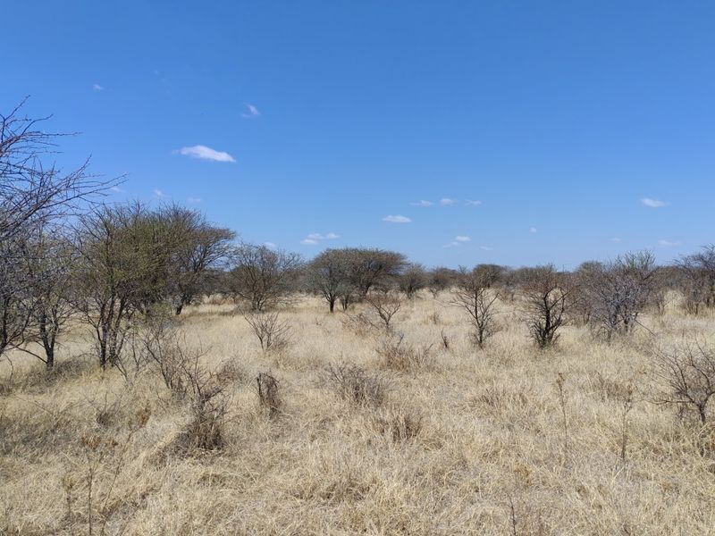 A view of the vacant residential land featuring dry grassland and native trees under a clear blue sky.
