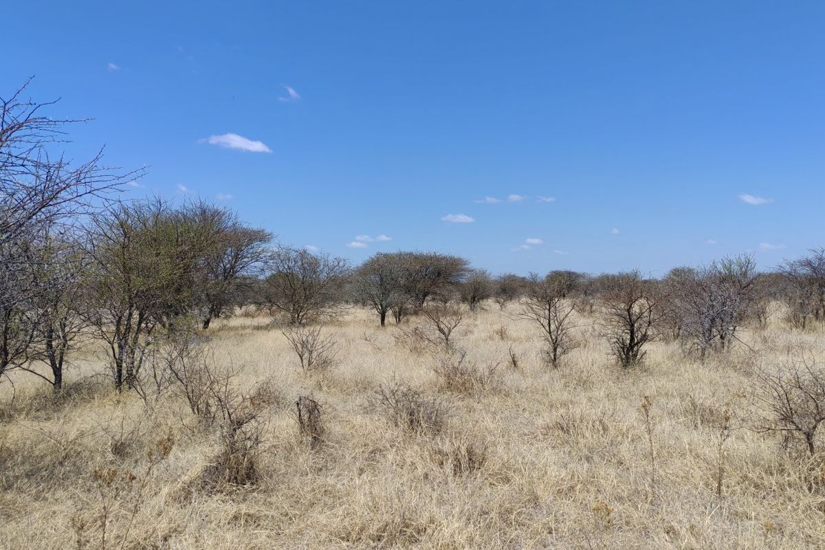 A view of the vacant residential land featuring dry grassland and native trees under a clear blue sky.