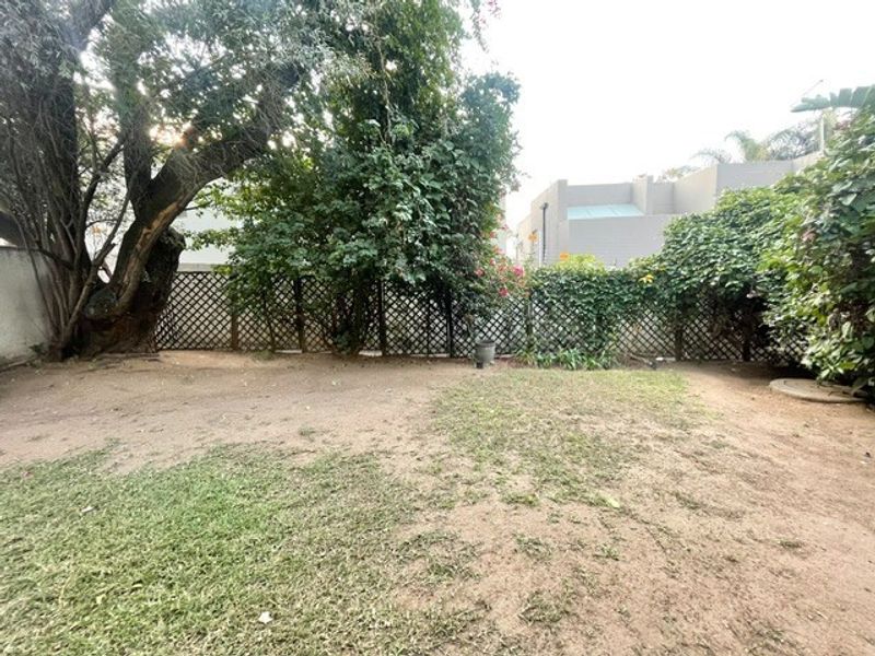 A private garden area featuring mature trees and lattice perimeter fencing, offering potential for landscaping and outdoor improvement.