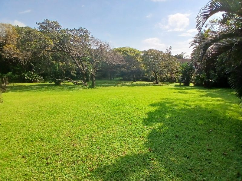 A spacious, well-maintained residential garden featuring a large green lawn and established mature trees providing natural shade and privacy.