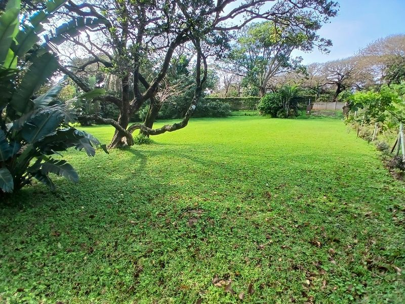 A spacious, well-maintained residential garden featuring mature trees, lush green lawn, and established boundary walls, offering a peaceful outdoor setting.