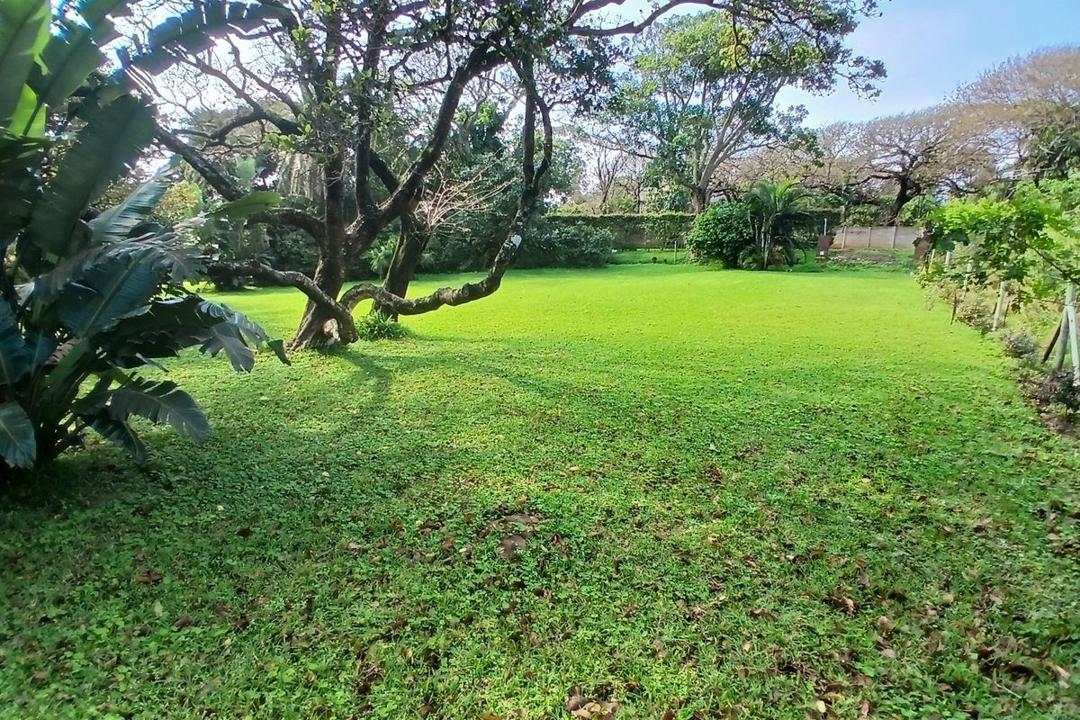 A spacious, well-maintained residential garden featuring mature trees, lush green lawn, and established boundary walls, offering a peaceful outdoor setting.