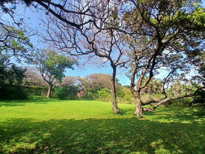 A spacious, well-maintained residential garden featuring mature trees and expansive green lawn area.