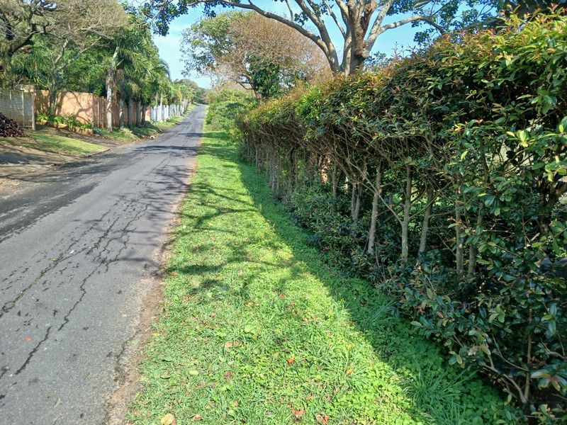 A view of the residential street frontage featuring an asphalt road bordered by a mature hedge and established trees.