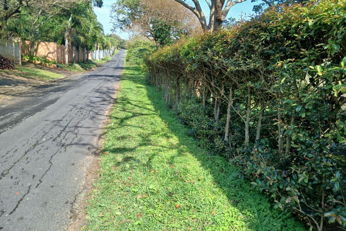 A view of the residential street frontage featuring an asphalt road bordered by a mature hedge and established trees.